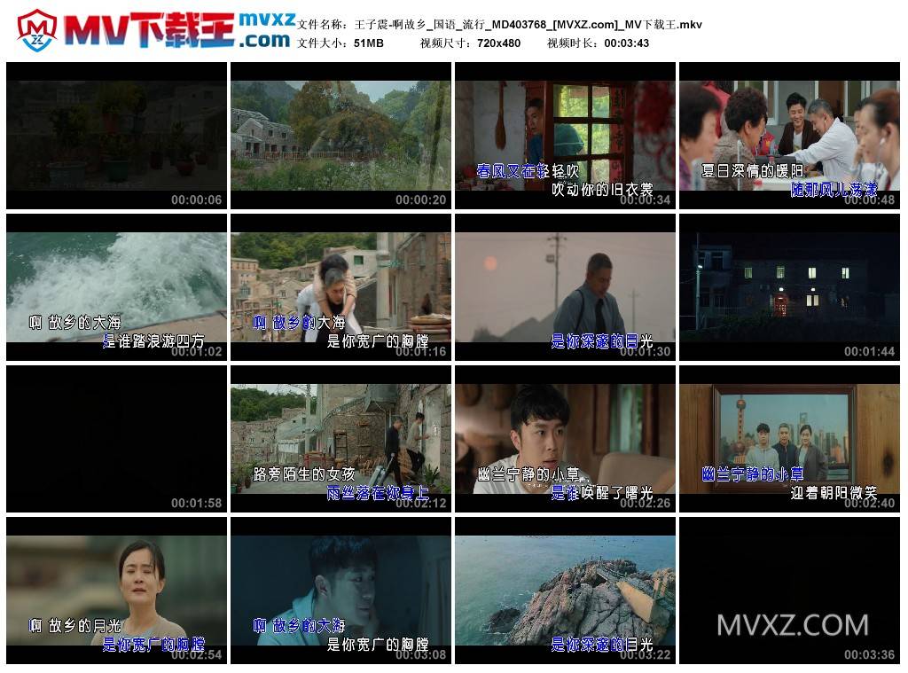 王子震-啊故乡_国语_流行_MD403768